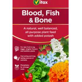 blood fish bone
