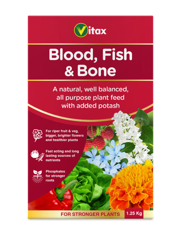 blood fish bone