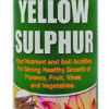 yellow sulphur